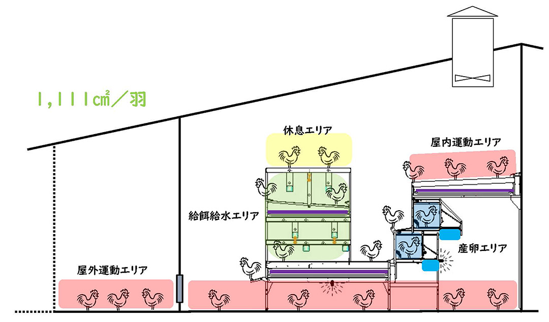エイビアリーシステム鶏舎