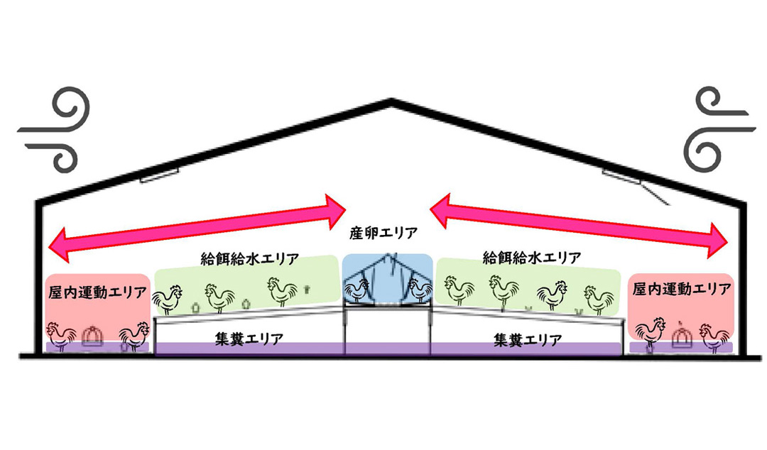 平飼い鶏舎